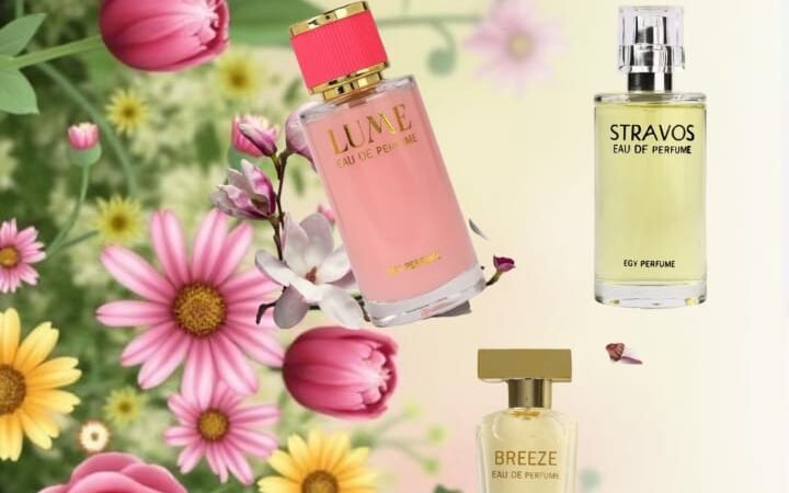 تسجيل عضوية ايجي بيوتي